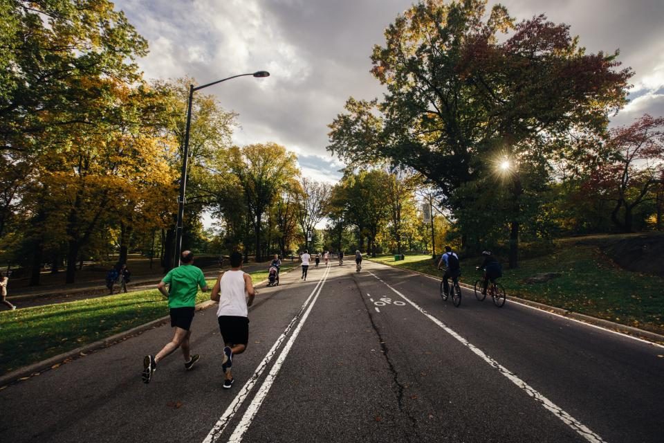 Runners on a tree-lined road
